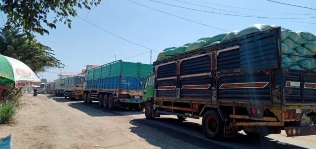 ជាតិរយៈពេល ៣ខែ ខេត្តព្រៃវែងនាំចេញស្រូវទៅវៀតណាមប្រមាណ ៥០ម៉ឺនតោន